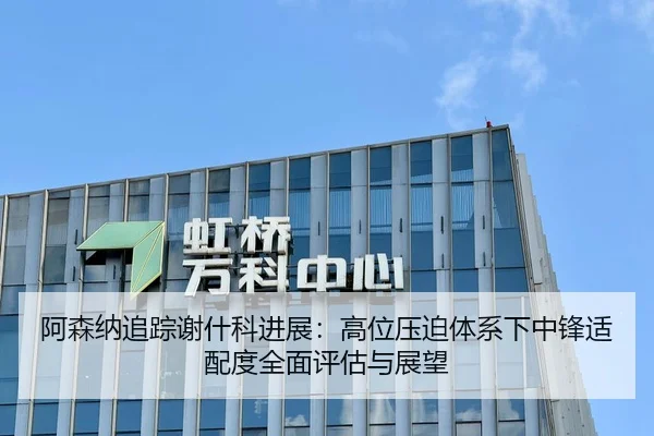 阿森纳追踪谢什科进展：高位压迫体系下中锋适配度全面评估与展望