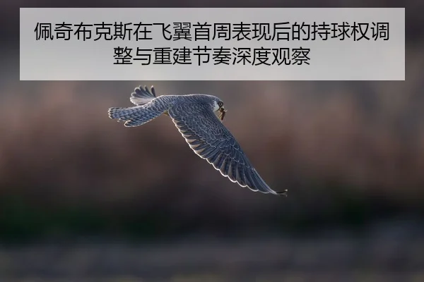 pei-qi-bu-ke-si-zai-fei-yi-shou-zhou-biao-xian-hou-de-chi-qiu-quan-tiao-zheng-yu-chong-jian-jie-zou-shen-du-guan-cha-2-753.jpg