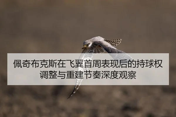 佩奇布克斯在飞翼首周表现后的持球权调整与重建节奏深度观察