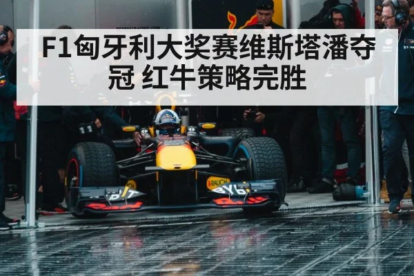 F1匈牙利大奖赛维斯塔潘夺冠 红牛策略完胜